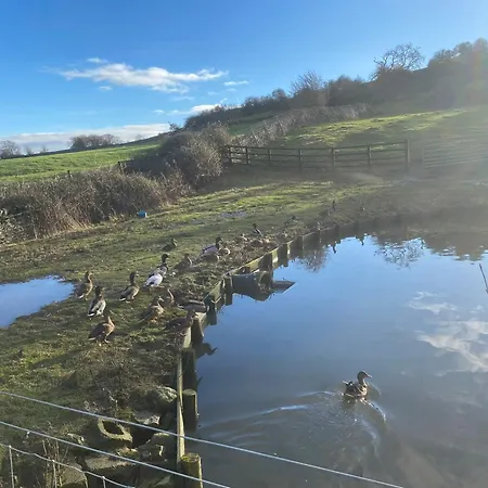 The Annexe 아파트 *