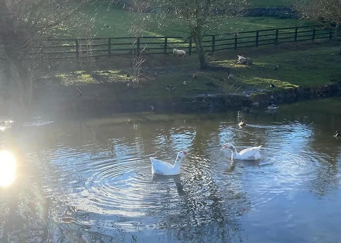 The Annexe Appartamento *